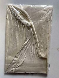 dikişli penye bone krem